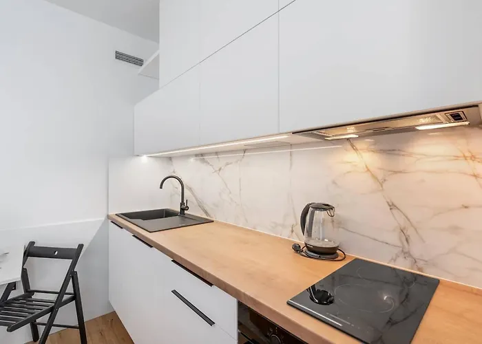Real Living By Refa Karlin 208 Appartamento Praga